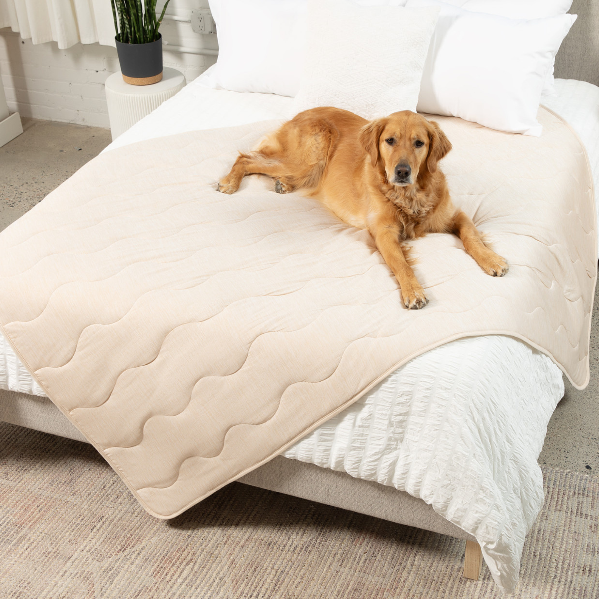 PupChill Cooling Waterproof Blanket - Arctic Sand