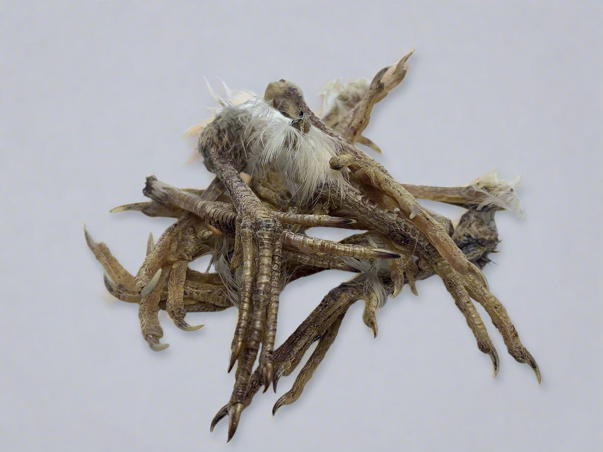Quail Feet Training Pack