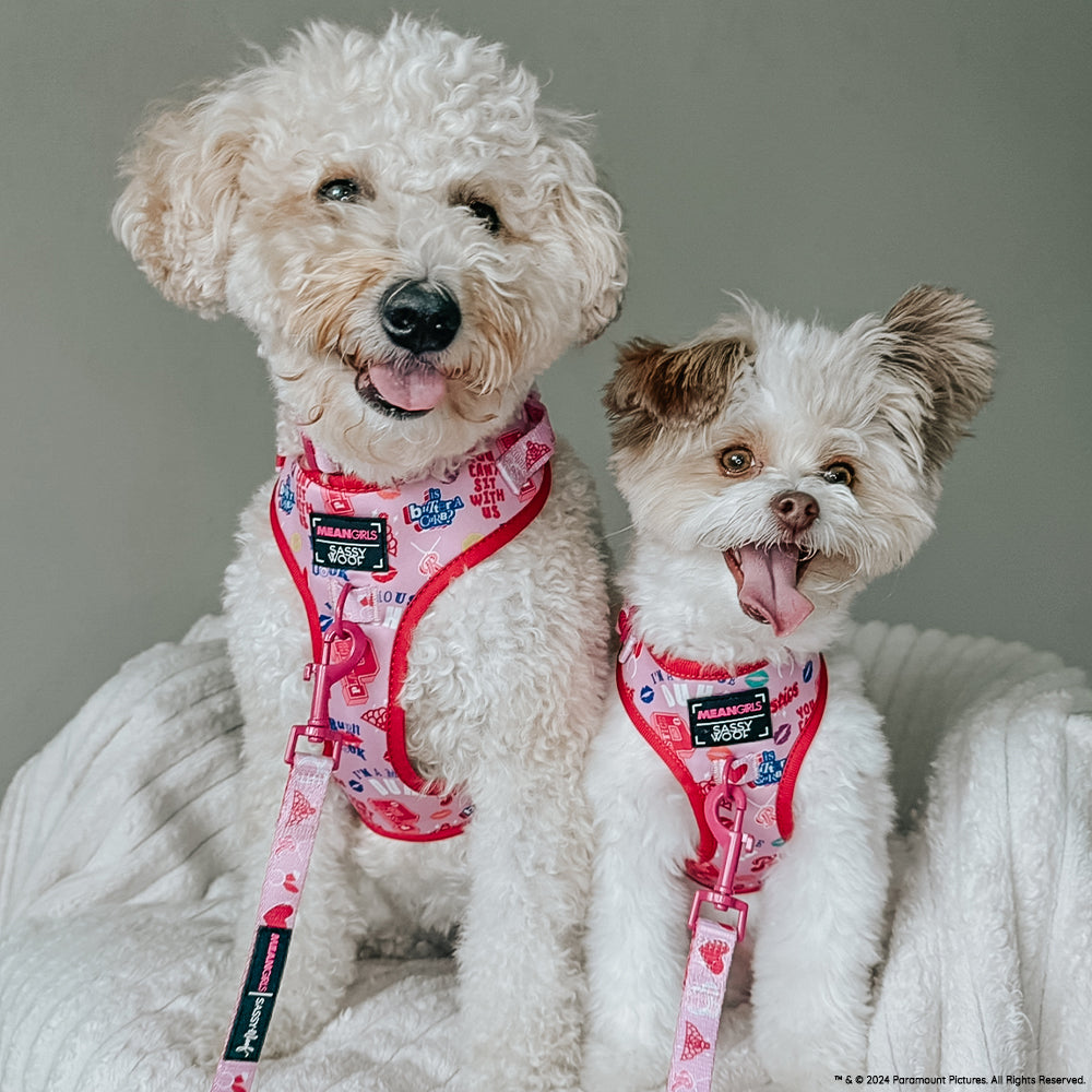 Dog Leash - Mean Girls™