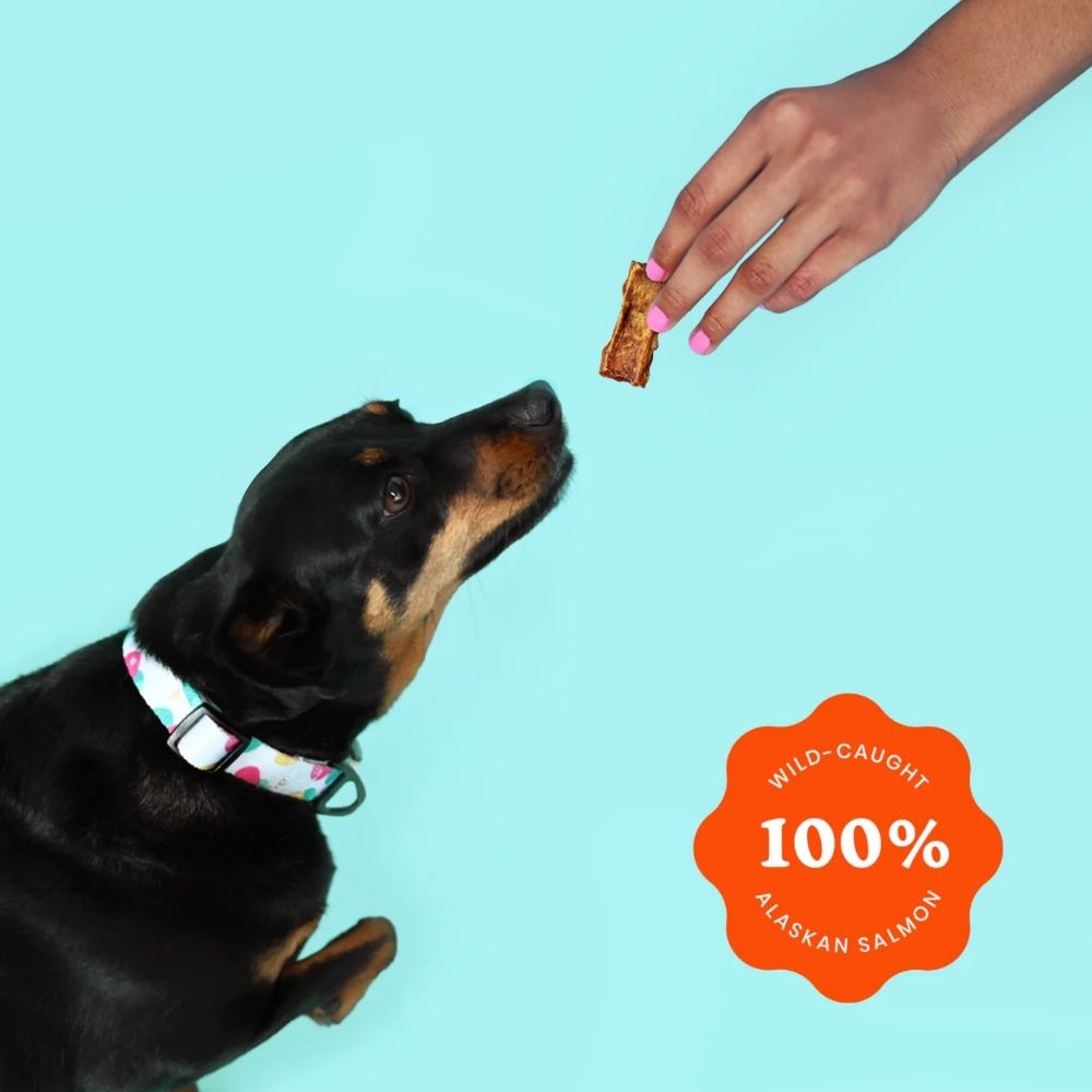 Ava's Pet Palace Snappin' Salmon Wild Alaskan Sockeye Dog Treats, 4 oz