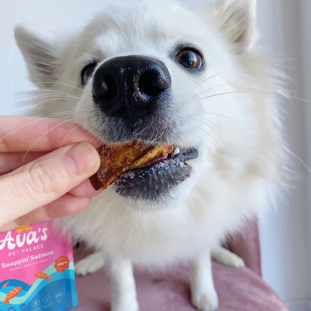 Ava's Pet Palace Snappin' Salmon Wild Alaskan Sockeye Dog Treats, 4 oz