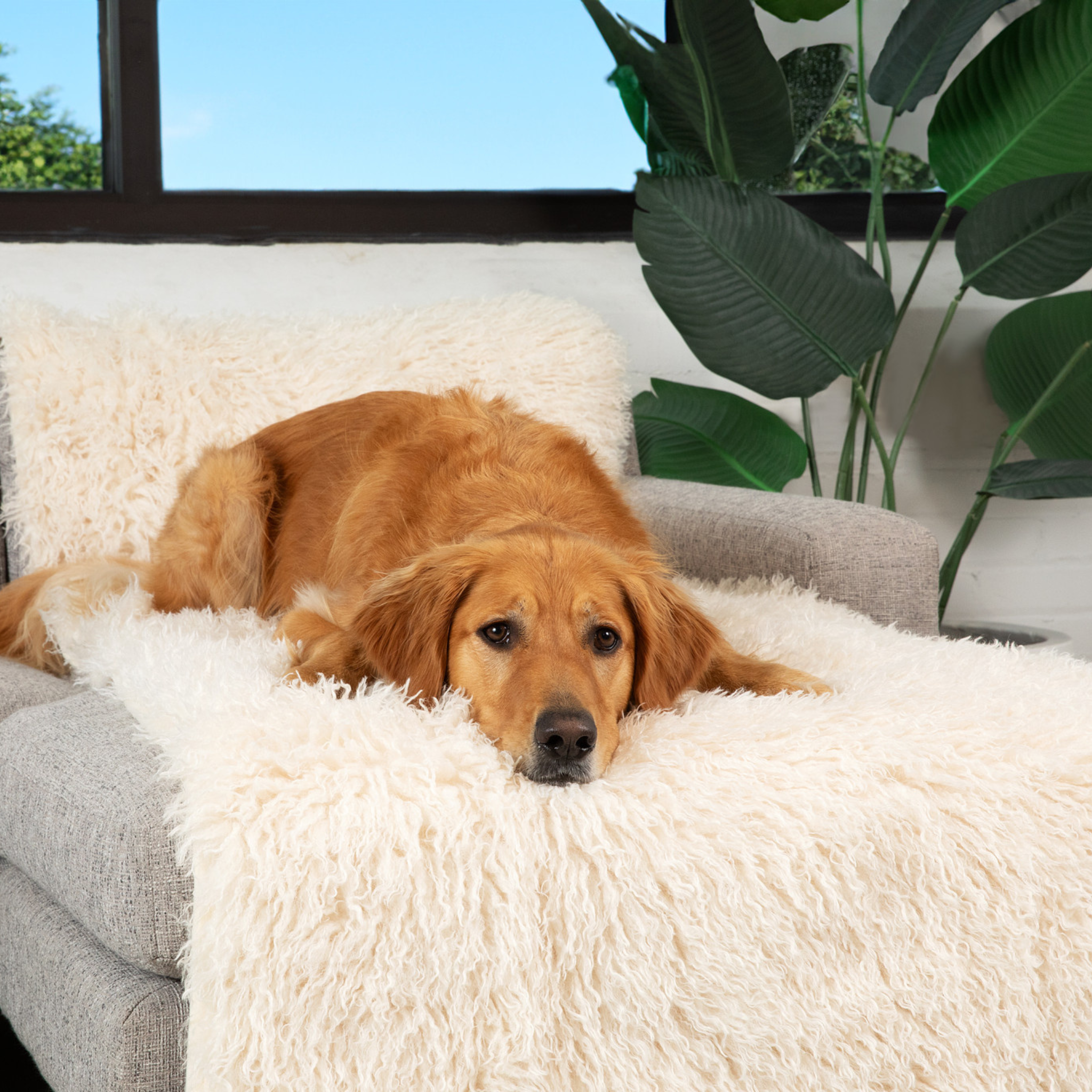 PupProtector Luxe Waterproof Bed Runner - Plush Sheep Ivory