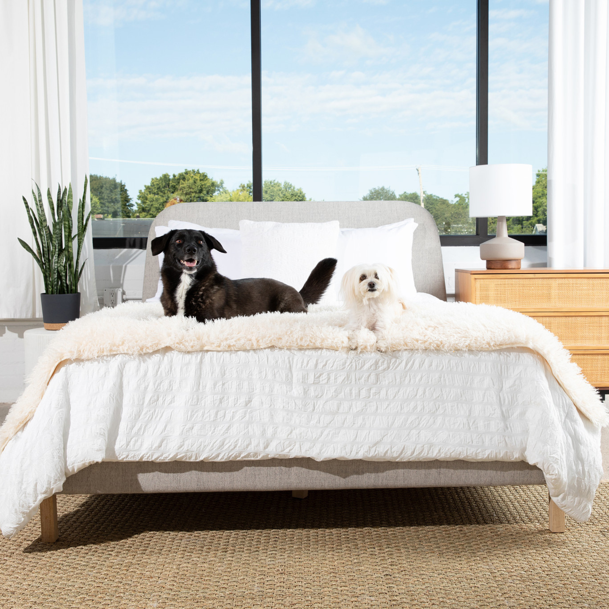 PupProtector Luxe Waterproof Bed Runner - Plush Sheep Ivory