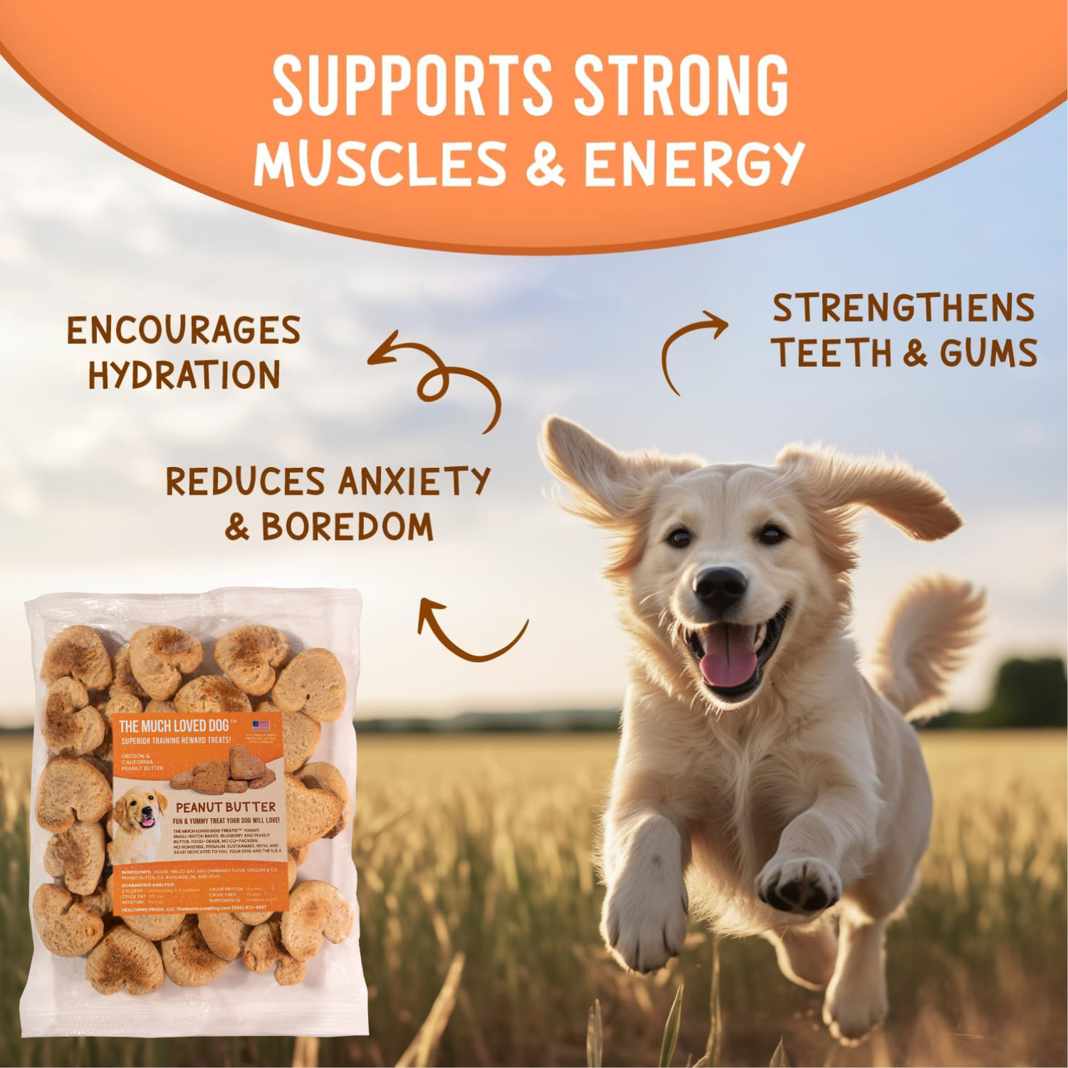 Much Loved Dog™ Peanut Butter BUNDLE