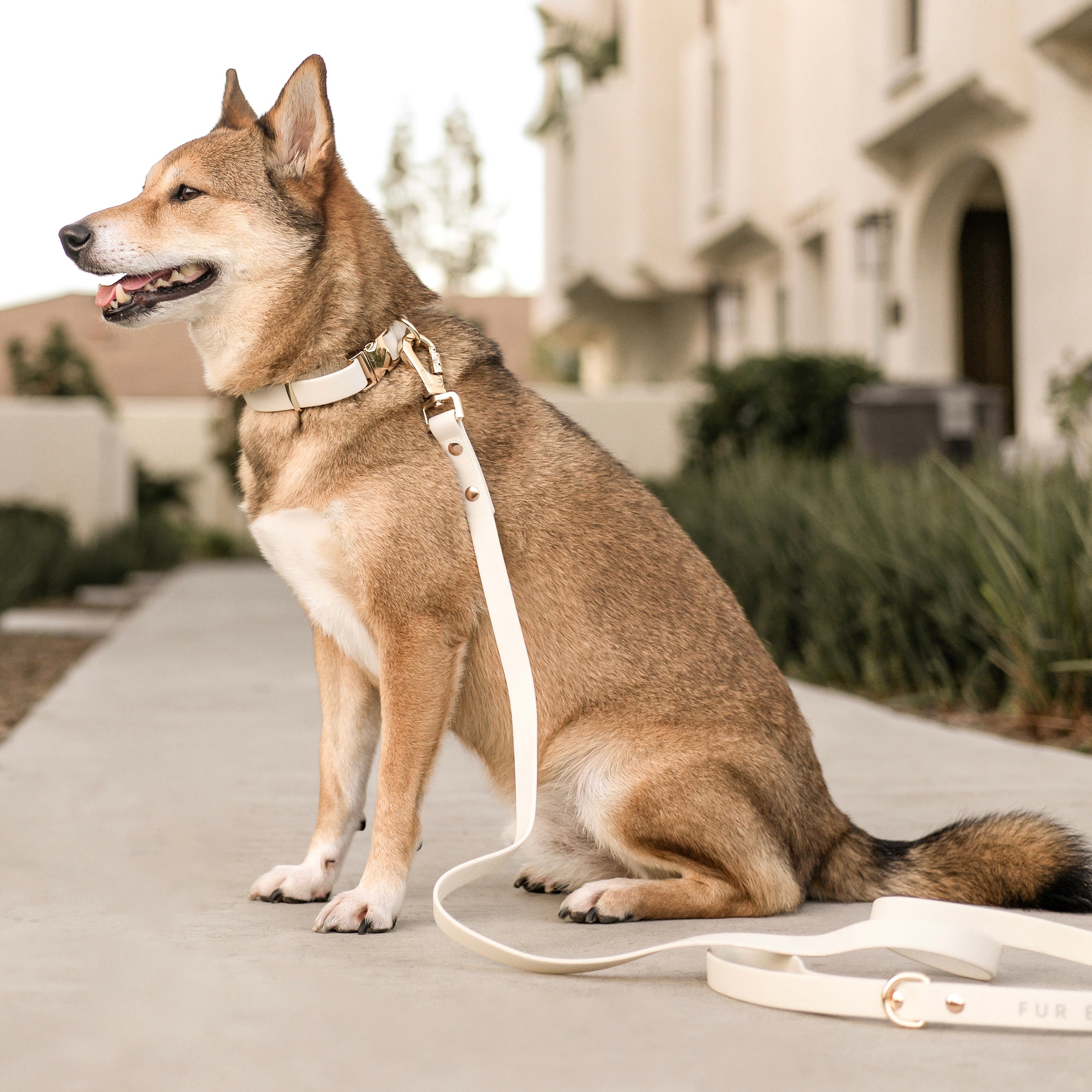 Fur Elise Essentials Walk Set - Bone