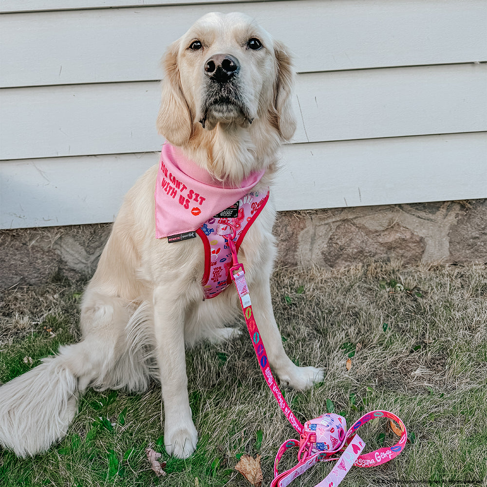 Dog Leash - Mean Girls™