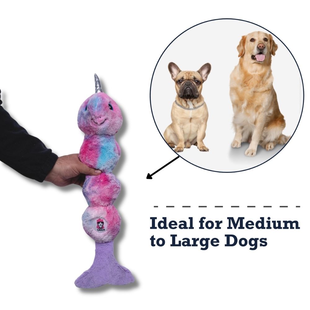 Colorful Magical Unicorn Plush Dog Toy with Bumpy Texture