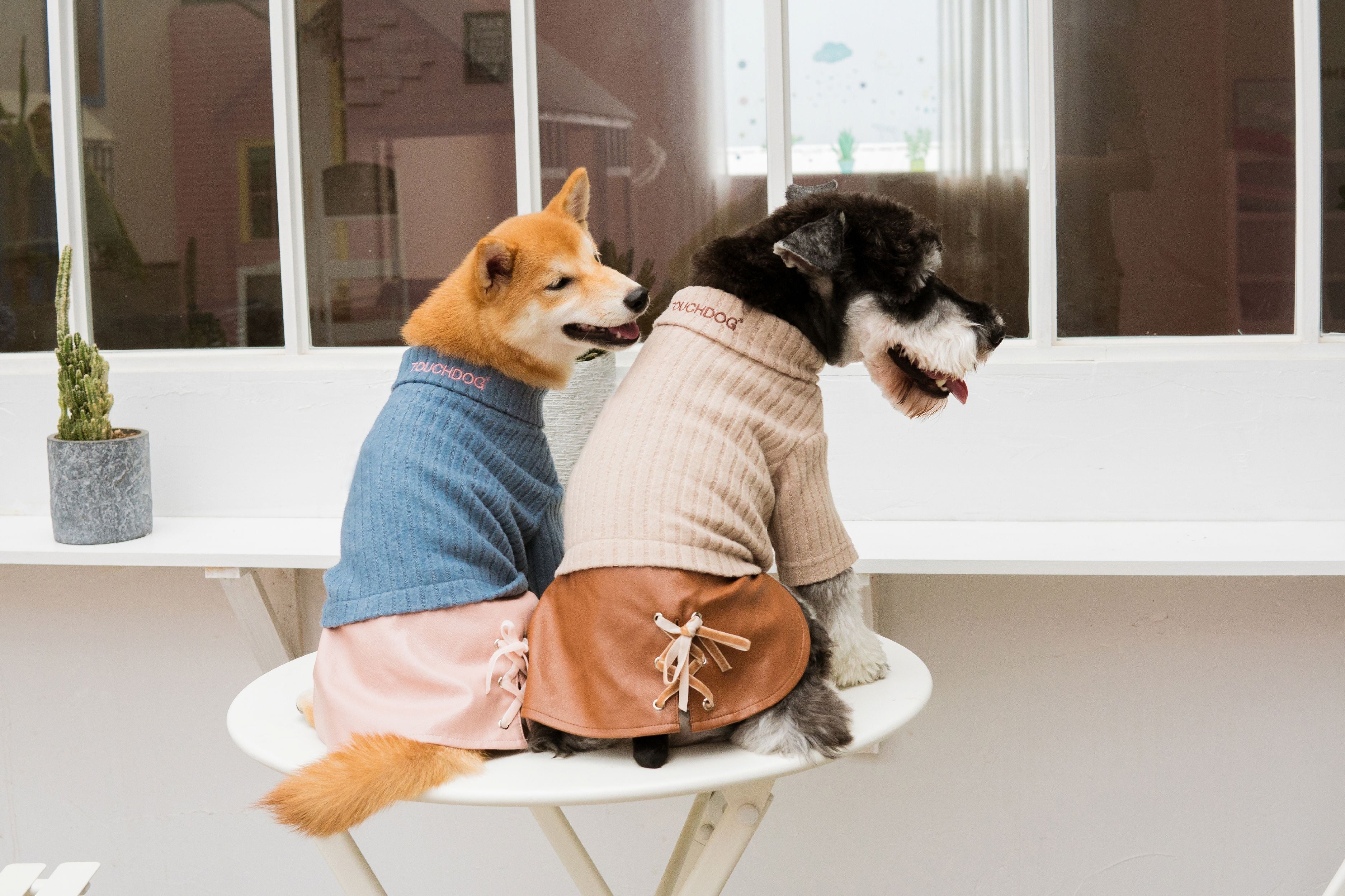 Touchdog ® 'Modress' Fashion Designer Dog Sweater and Dress