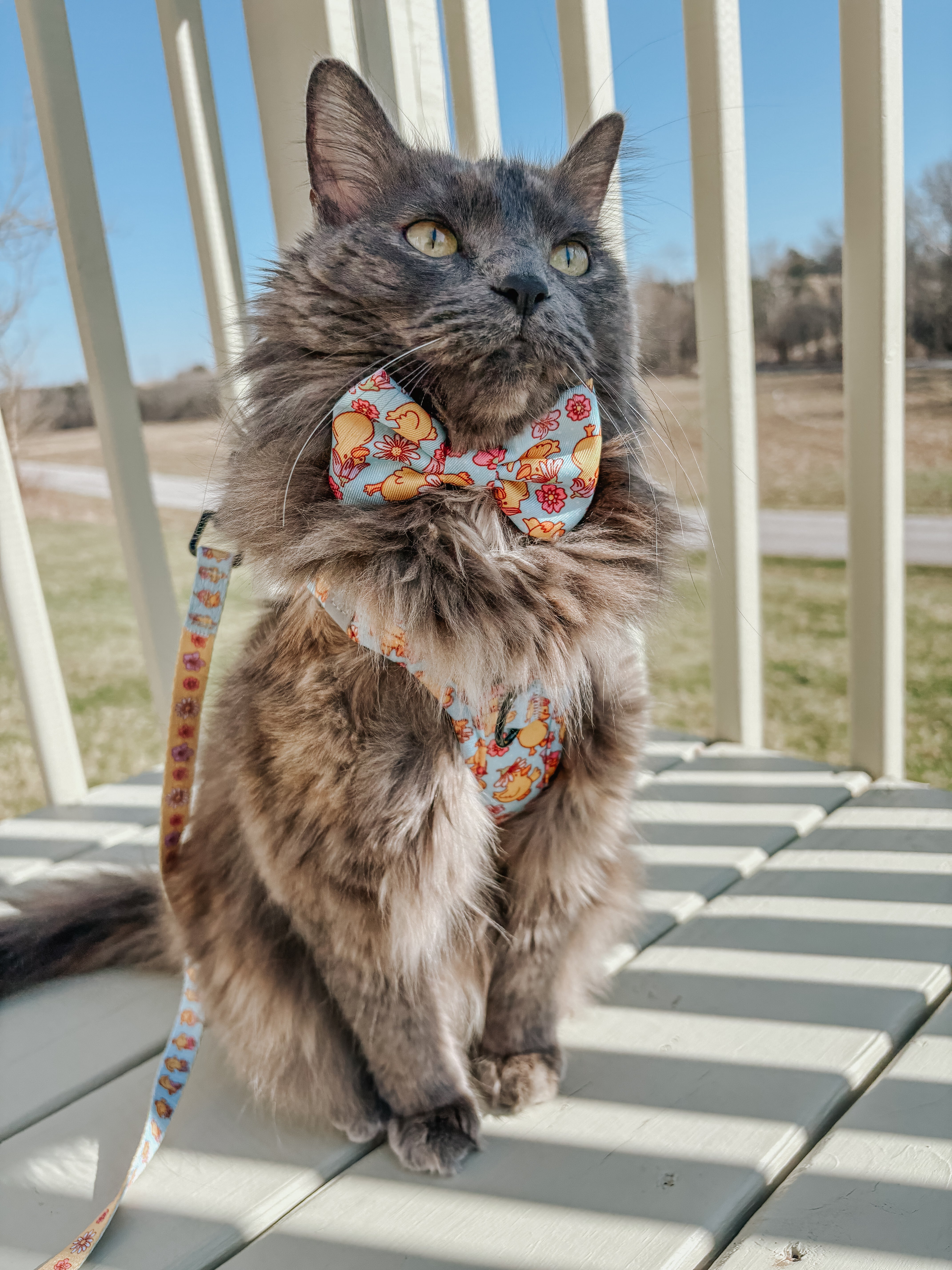 Cat Leash - Good Duck, Babe!