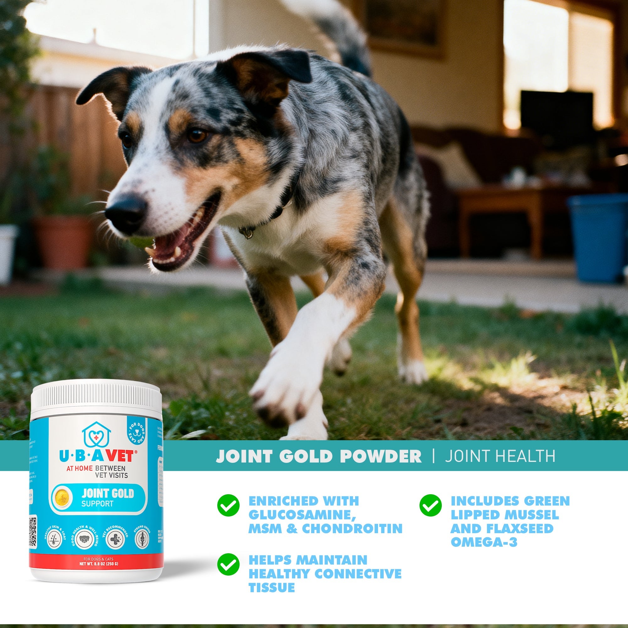 UBAVET Joint Gold Support Powder for Dogs & Cats, 8.8 oz