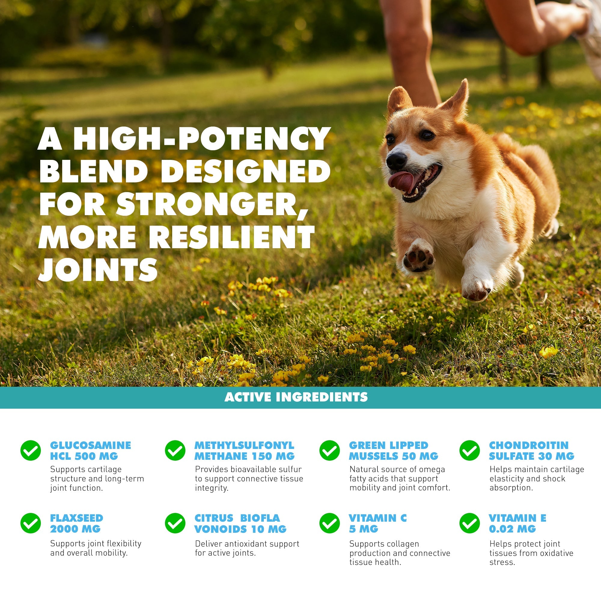 UBAVET Joint Gold Support Powder for Dogs & Cats, 8.8 oz