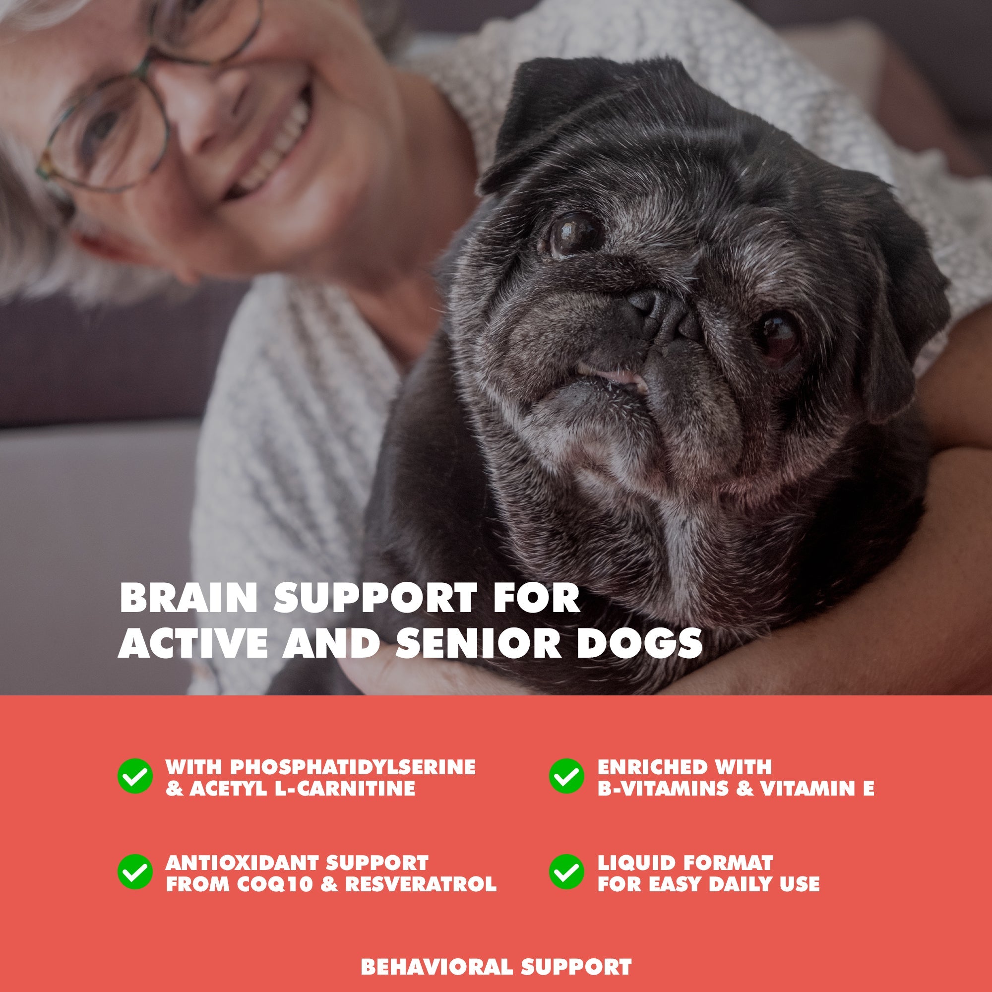 UBAVET Memory & Brain Support for Senior Dogs, 90 Capsules
