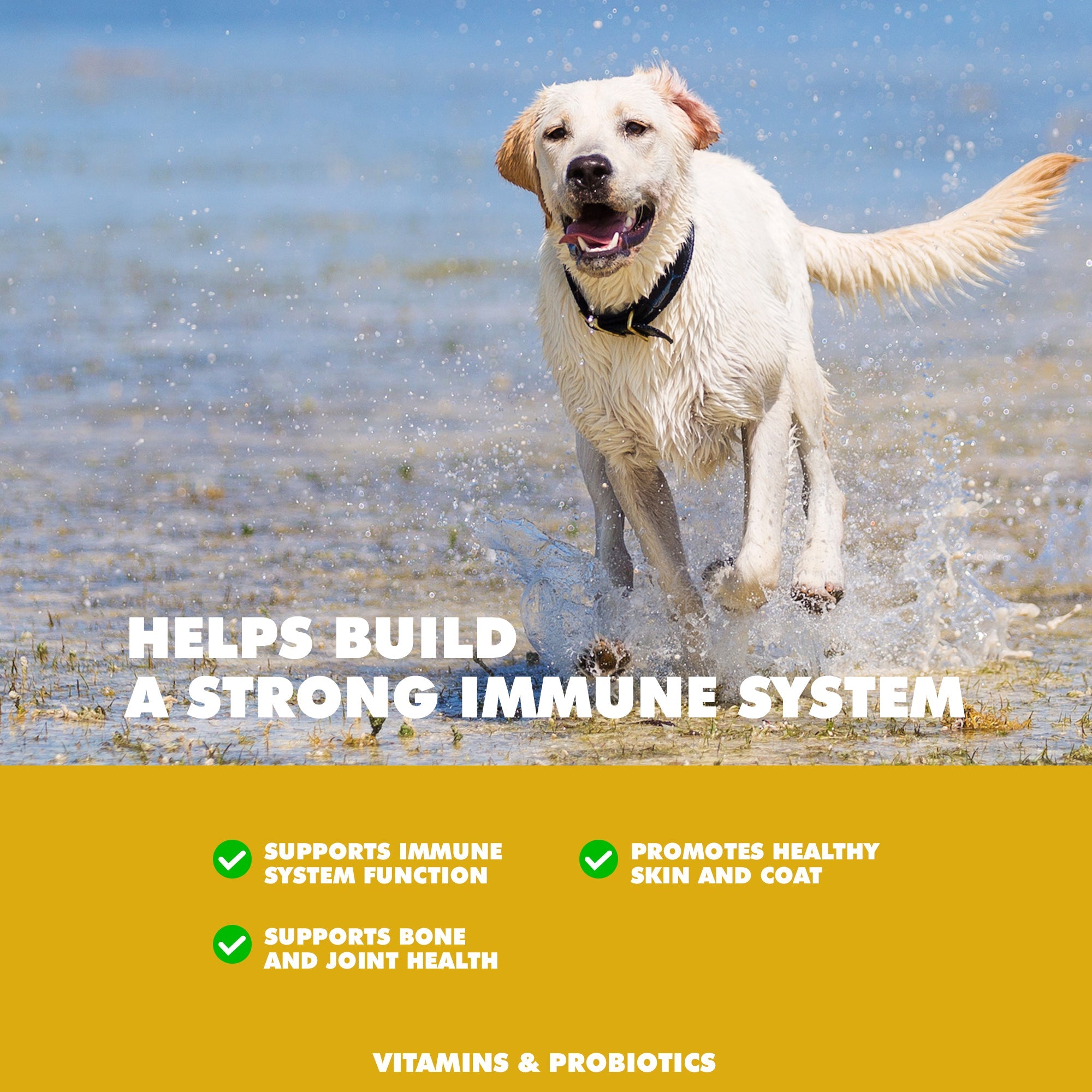 UBAVET Immune Support Daily Multi-Vitamin for Dogs, 90 Tablets