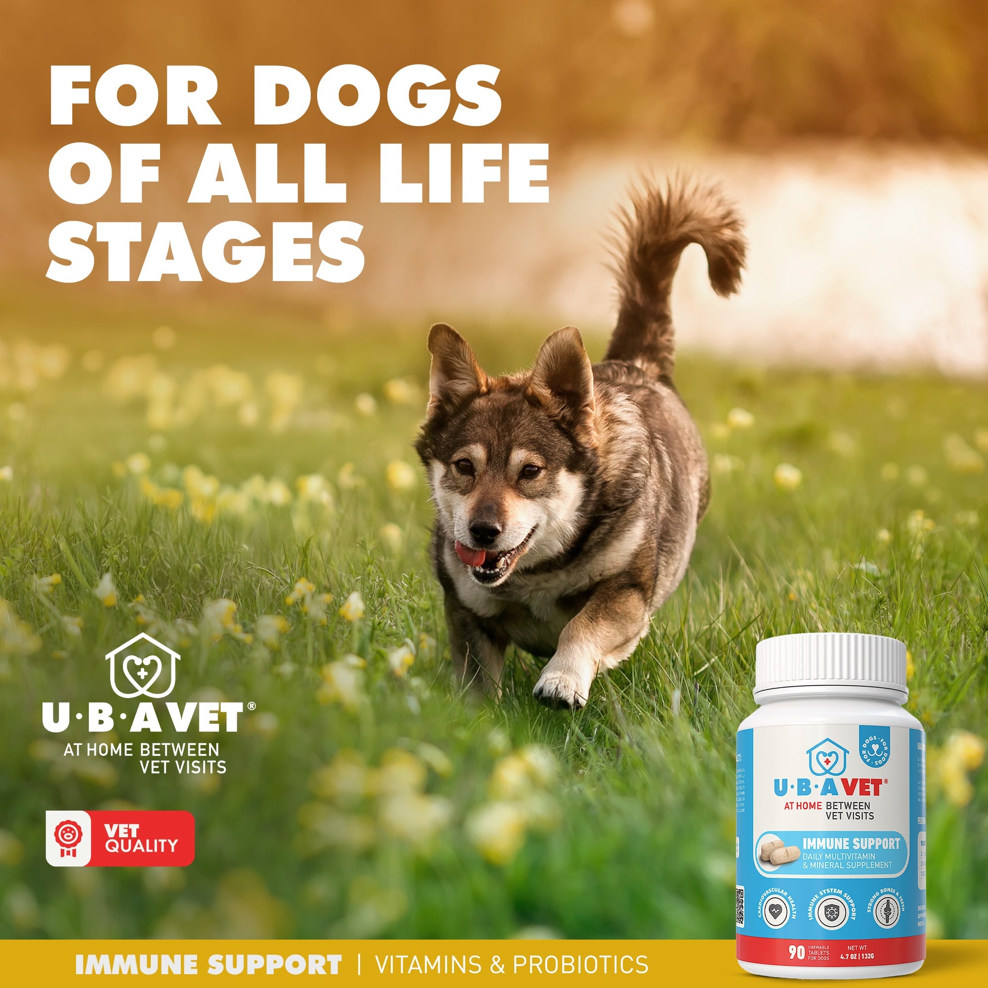UBAVET Immune Support Daily Multi-Vitamin for Dogs, 90 Tablets