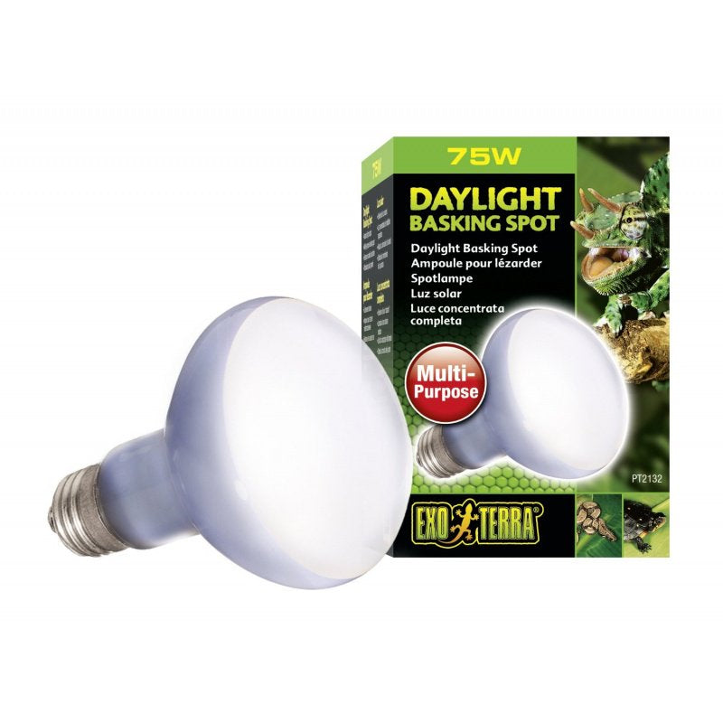 Exo Terra Daylight Basking Spot Lamp, 75W