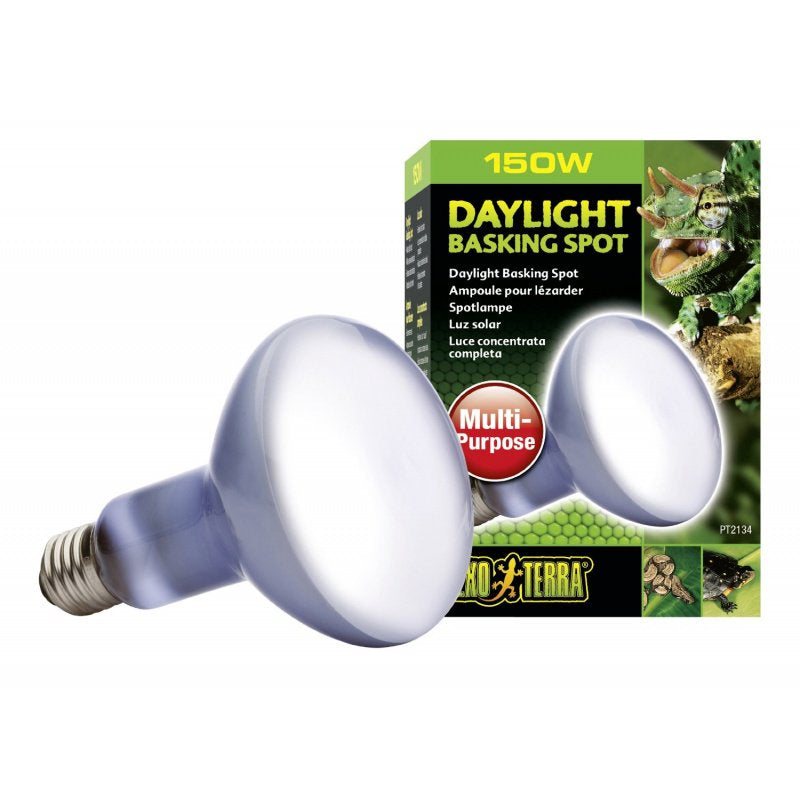 Exo Terra Daylight Basking Spot Lamp