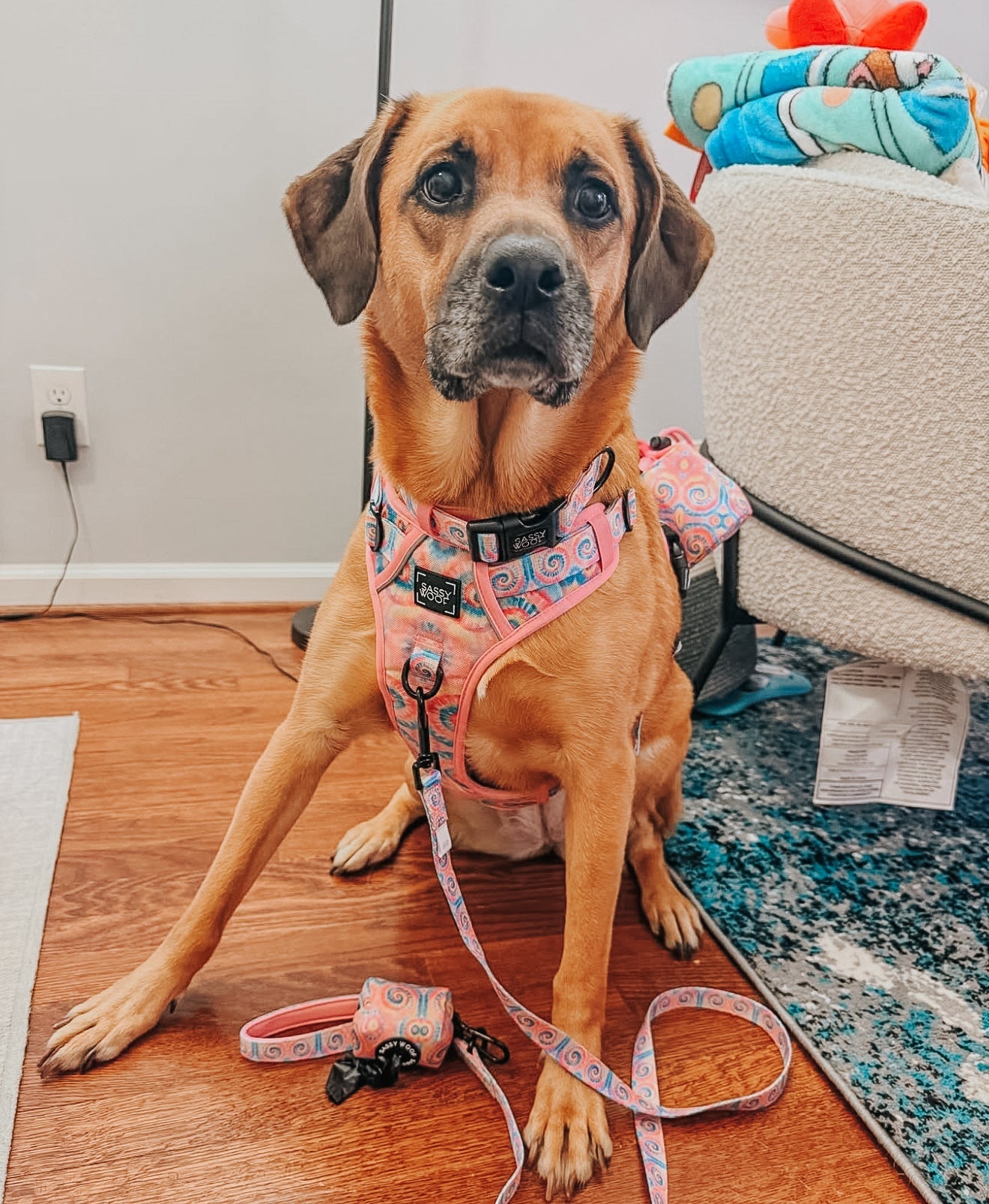 Dog Leash - Good Vibes